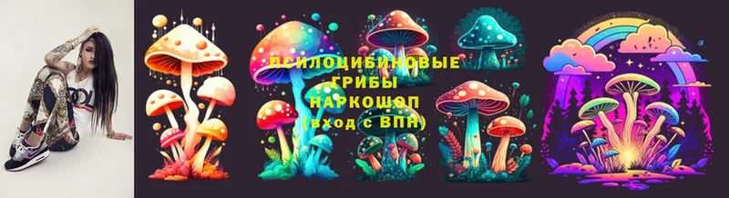 Псилоцибиновые грибы MAGIC MUSHROOMS  наркошоп  Советск 